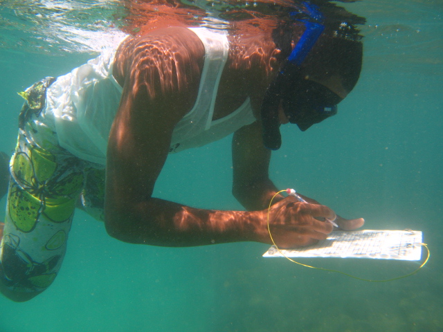 Com a prancheta, estudando os corais (foto: Irco)