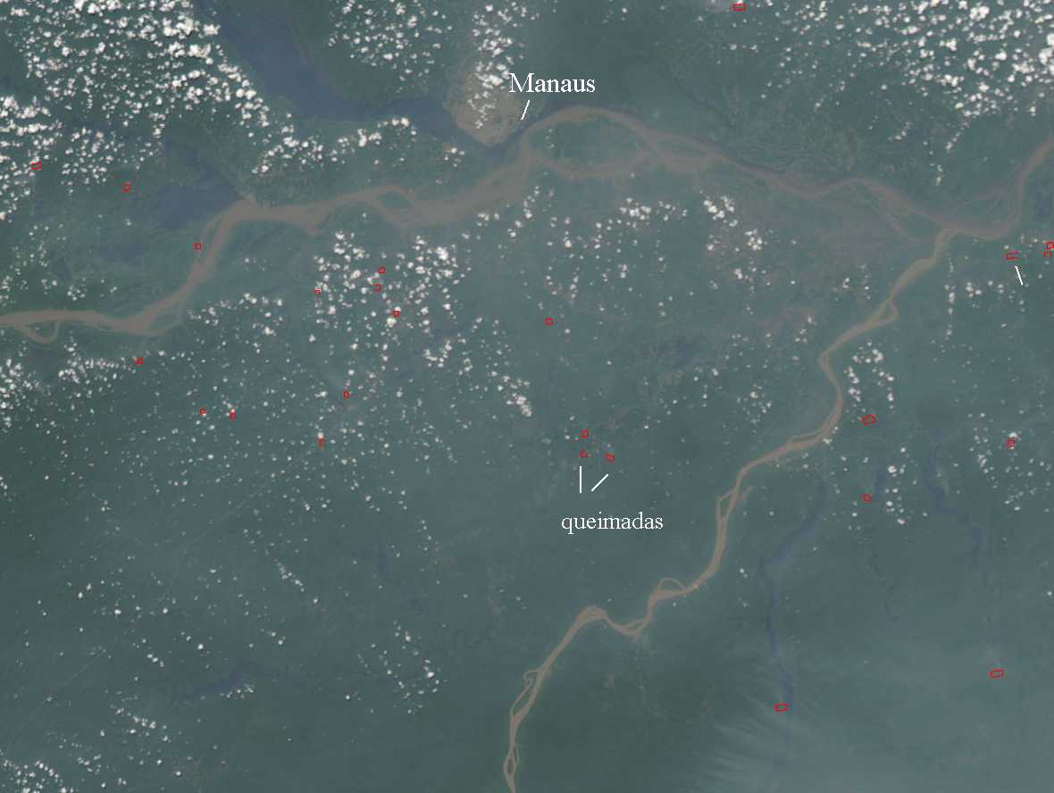 Imagem de satélite de dia 16 de agosto mostra fumaça sobre Manaus (fonte: NASA. arte: ((o))eco)