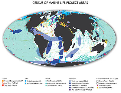 Clique para ver as áreas pesquisadas no Censo da Vida Marinha (fonte: www.comlmaps.org)