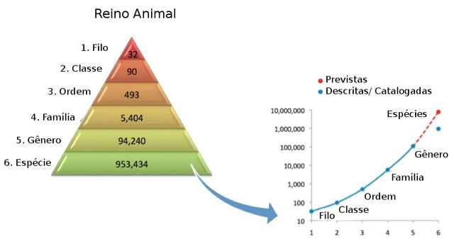 Os cientistas usaram padrões numéricos existentes entre as  classificações taxonômicas e fizeram uma projeção de quantas espécies  diferentes podem existir no Planeta Terra.