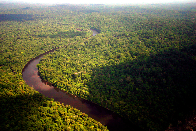 A intenção da presidente Dilma Rousseff é de reduzir unidades de conservação na Amazônia por conta de obras de infra-estrutura. Crédito: WWF-Brasil