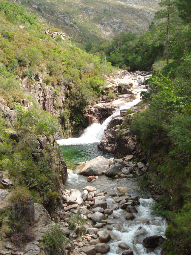 Parques servem para proteger a biodiversidade (PARNA Peneda-Gerês). Crédito: Pedro Cunha e Menezes