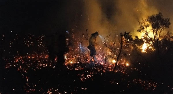 Combate noturno ao fogo. Foto: COEM/CGPRO