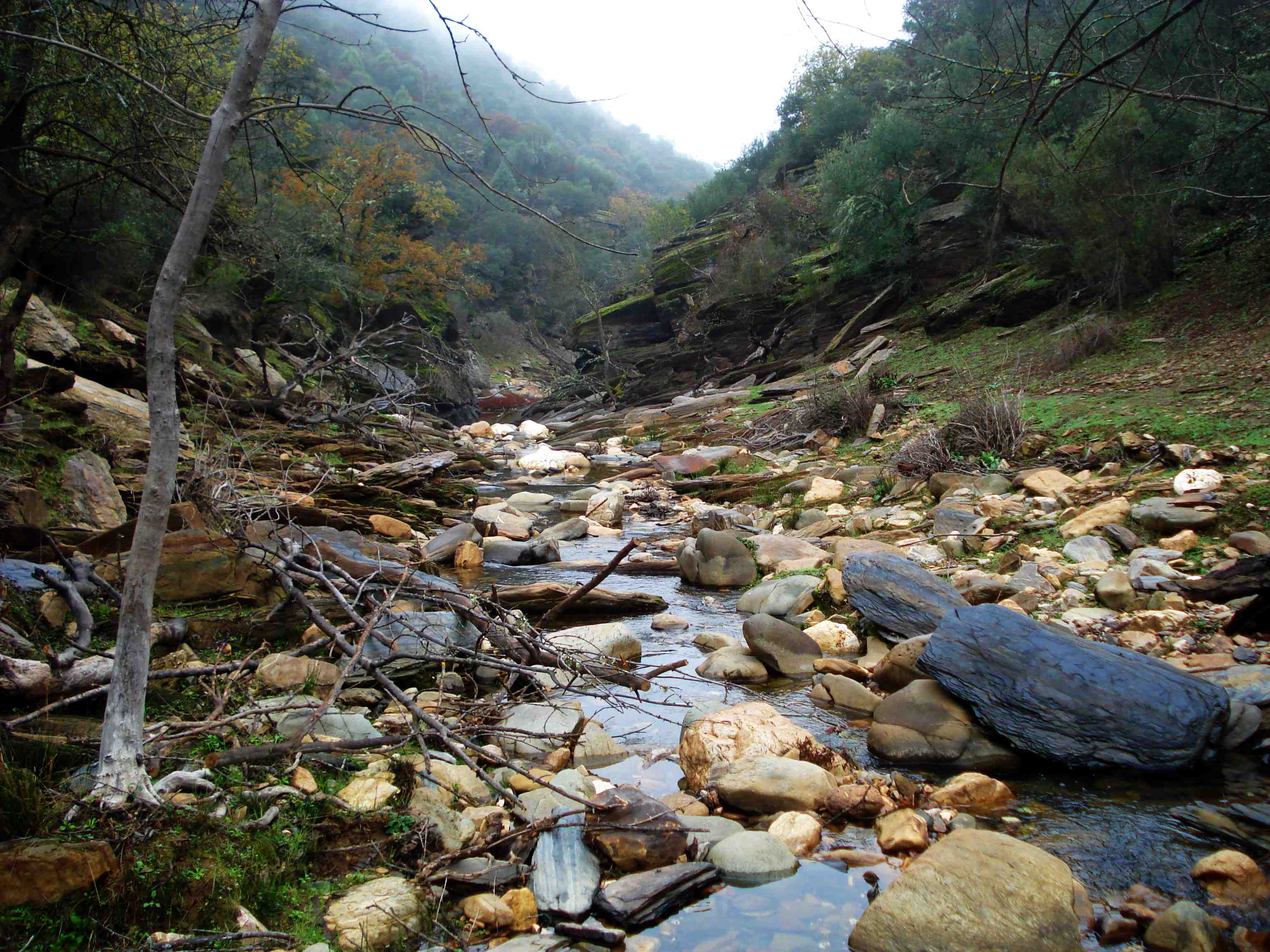 Rio em Monfrague (foto: Pedro da Cunha e Menezes)