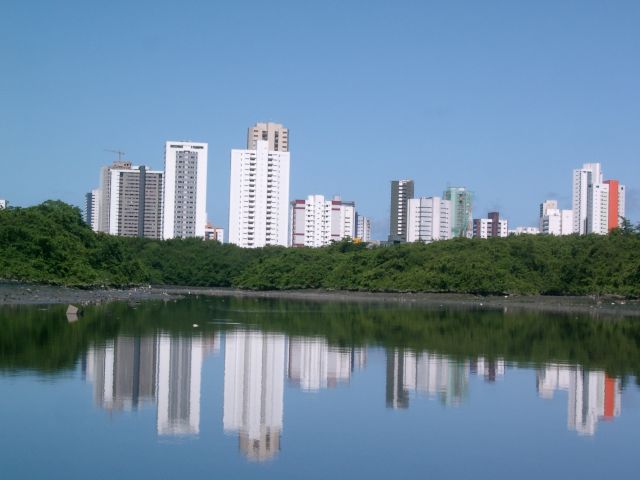 Área onde está o mangue está próxima a bairros nobres, como Boa Viagem (foto:Hélida Philippini)