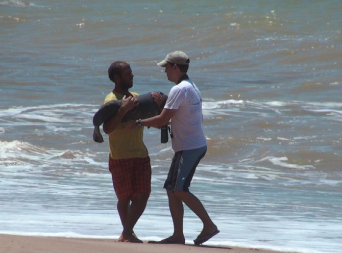 Reforço na prontidão da Aquasis, que integra a Rede de Encalhes de Mamíferos Aquáticos do Nordeste (Remane). Foto: Acervo Aquasis