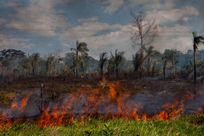 Incêndio na beira da BR que liga Porto Velho à usina de Jirau. Com explosão populacional, o desmatamento aumentou. (Foto: Marcelo Min)