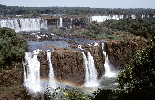 A Mata Atlântica se estende por toda a costa atlântica brasileira, alongando-se para partes do Paraguai, Argentina e Uruguai, incluindo também ilhas oceânicas e o arquipélago de Fernando de Noronha. A Mata Atlântica abriga 20 mil espécies de plantas, sendo 40% delas endêmicas. Ainda assim, menos de 10% da floresta permanece de pé. Mais de duas dúzias de espécies de vertebrados ameaçadas de extinção – listadas na categoria “Criticamente em Perigo” - estão lutando para sobreviver na região, incluindo leões-marinhos e seis espécies de aves que habitam uma pequena faixa da floresta no Nordeste. Começando com o ciclo da cana-de-açúcar, seguido das plantações de café, a região vem sendo desmatada há centenas de anos. Agora, a Mata Atlântica está enfrentando pressão por conta da crescente urbanização e industrialização do Rio de Janeiro e São Paulo. Mais de 100 milhões de pessoas, além da indústria têxtil, agricultura, fazendas de gado e atividade madeireira da região dependem do suprimento de água doce desse remanescente florestal. (© Conservation International/photo by John Martin)