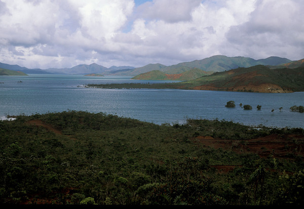 Um arquipélago montanhoso uma vez dominado pelas florestas temperadas, a Nova Zelândia é uma terra de paisagens variadas e abriga extraordinários índices de espécies endêmicas, incluindo seu representante mais famoso, o kiwi. Nenhum de seus mamíferos, anfíbios ou répteis é encontrado em outro lugar do mundo. Curiosamente, as duas espécies registradas de mamíferos terrestres endêmicos são morcegos. Hoje, espécies invasoras representam uma séria ameaça à flora e à fauna das ilhas da Nova Zelândia. Com a chegada dos europeus no início do século 19, foram levadas ao arquipélago 34 espécies exóticas de mamíferos (incluindo gambás, coelhos, gatos, cabras e furões) e centenas de espécies de ervas daninhas invasoras. Somando-se o impacto da caça e da destruição de hábitats, os últimos duzentos anos testemunharam a extinção de inúmeras espécies de aves, invertebrados, plantas e de um morcego e um peixe endêmicos. Diversas outras espécies sobrevivem apenas em pequenas populações nas ilhas. A destruição de hábitats, de florestas e a drenagem de pântanos são também problemas-chave. Há apenas 5% de remanescentes do hábitat original do arquipélago. (foto: © Conservation International/  Bruce Beehler)