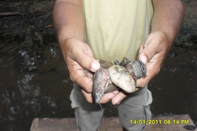 Foto: Maria Ricardo Nascimento