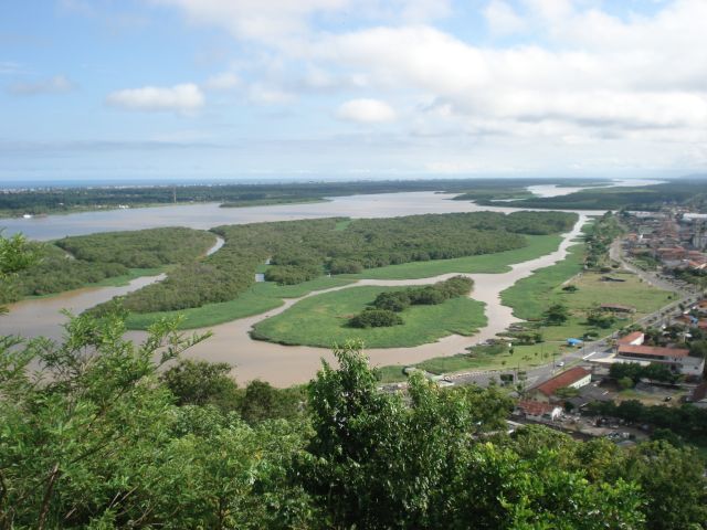 Foto aérea  da região de Iguape. Vegetação que cresce no entorno das ilhas de mangue é composta por invasoras que impedem o crescimento das espécies de mangue (crédito das fotos e dos mapas  Marília Cunha Lignon)