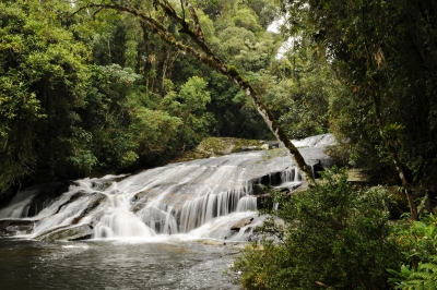 Para aumentar a conservação vai ser necessário investir em reservas particulares (fotos: WWF-Brasil)