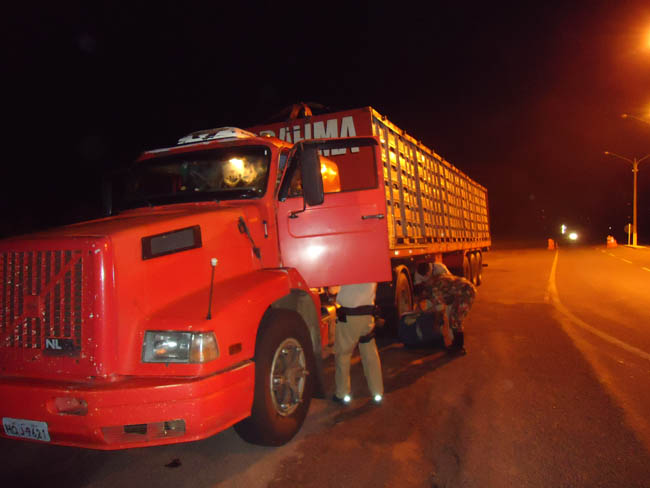 Caminhão apreendido ao transportar gaiolas (foto: PMA-MS)