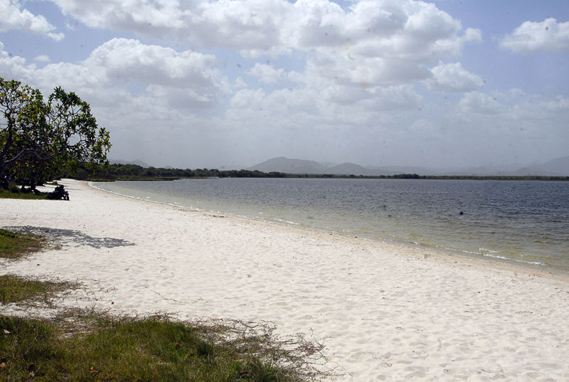 Pela nova lei, homologação de terras indígenas, como da reserva Raposa-Serra do Sol (Foto), terá que passar pelo crivo do Senado. Crédito: Wikipédia, verbete reserva Raposa-Serra do Sol