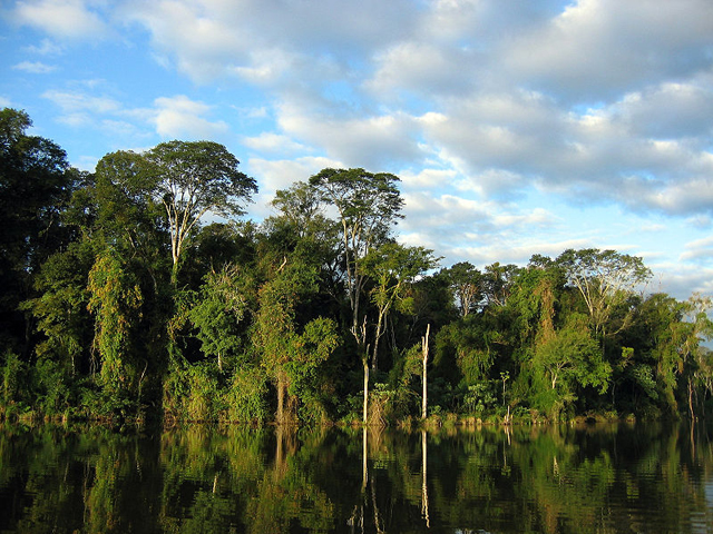 Documento com sugestões de alterações de pontos controversos do Código Florestal foi apresentado ao relator Paulo Piau. Acima, uma imagem da Mata Atlântica, da qual sobram 7% da cobertura original. Foto: wikimedia