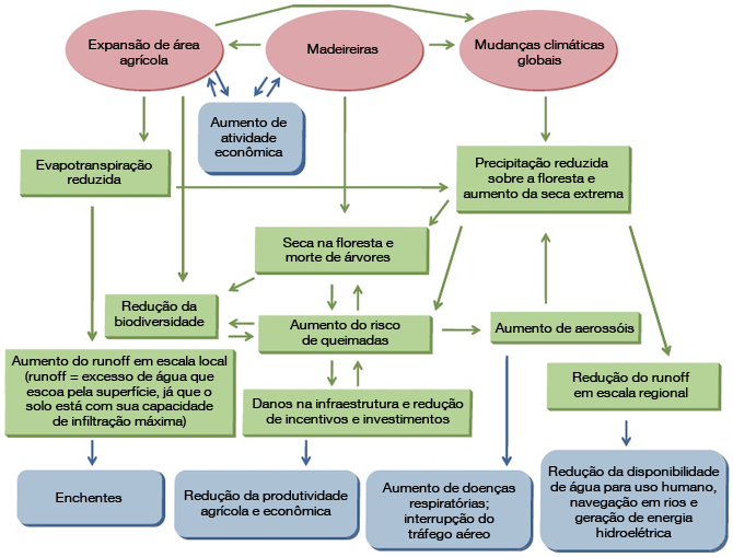 Interações entre clima global, uso do solo, queimadas, hidrologia, ecologia e dimensões humanas: Os fatores que forçam modificações estão representados pelos círculos vermelhos; processos abordados no artigo estão representados pelos retângulos verdes e as conseqüências para a sociedade estão representadas nos retângulos azuis.