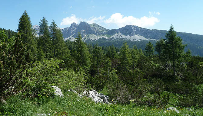 O Parque Nacional Triglav. (Foto: Pedro da Cunha e Menezes)