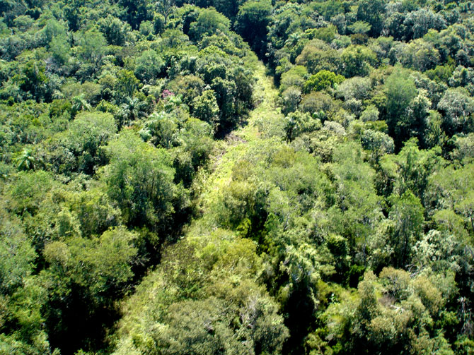 Tomada pela mata: a estrada do colono vista pelo alto. Foto: Adilson Borges, tirada em setembro de 2011.