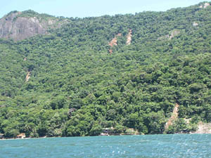 atingidos pela queda de pedras e árvores. (Foto: Izar Aximoff)