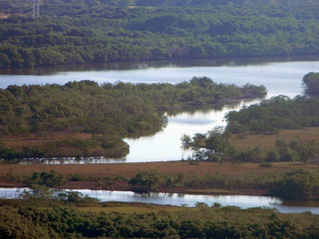 Licença emitida para empreendimento às margens do rio Piraquê condiciona sua construção às obras de um posto de fiscalização dentro da reserva. Crédito: Divulgação/INEA