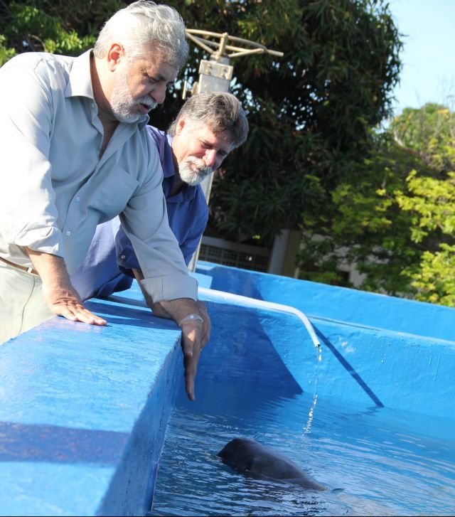 Rômulo Mello (à esq.) durante inauguração no Centro de Mamíferos Marinhos (foto: José Martins- ICMBIO)