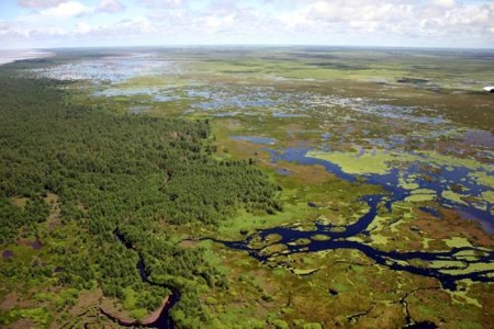 Parque Nacional Campos Amazônicos