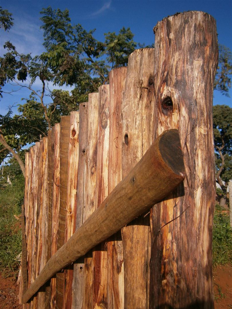 Escoras de eucalipto receberam um tratamento simples e cercaram a frente do lote.