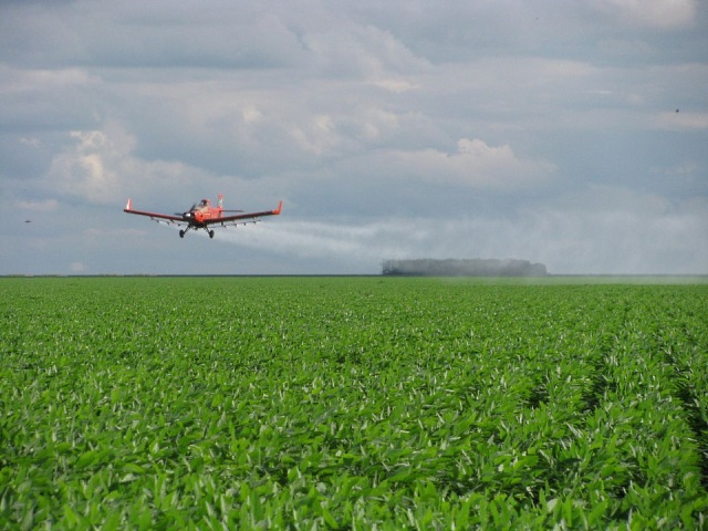 Pulverização aérea terá restrições até conclusão da reavaliação ambiental promovida pelo Ibama. Foto: Wanderlei Dias Guerra/MAPA.