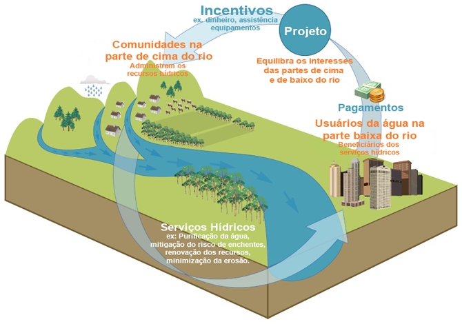 Programas que incentivam a proteção dos mananciais ajudam a manter a biodiversidade e são também uma opção para gerar renda. Clique para ampliar.