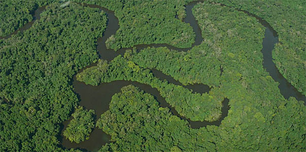 Floresta Nacional de Crepori, teve 856 hectares diminuídos para viabilizar a construção da usina de Jatobá. (Foto: ICMBio)
