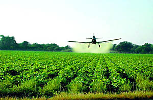 Avião despeja venenos sobre lavoura. (Foto: ipm.iastate.edu)