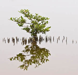 Clique na imagem e confira o ensaio