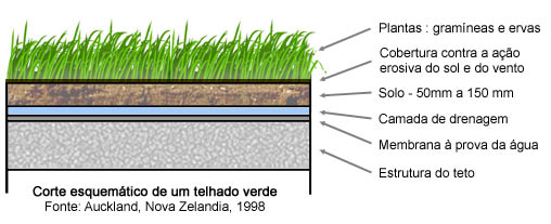 No telhado verde a cobertura vegetal isola o ambiente, impedindo a entrada de calor no verão e a saída de calor no inverno. Não há riscos de a casa ficar mais gelada nas épocas frias. (arte: Paulo André Vieira)