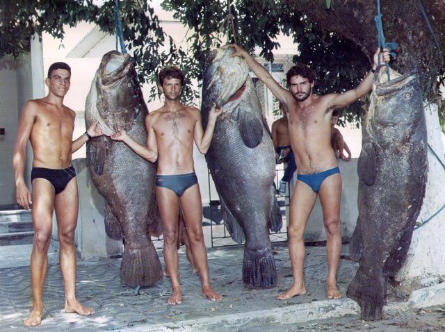 Pescadores penduram o enorme mero as árvores da cidade. Espécie era caçada por mergulhadores com arpão. Hoje está na lista vermelha, ameaçada de extinção. Foto: Desmontinho