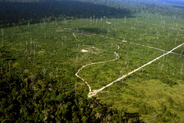 Avanço do desmatamento na Amazônia. Município de Porto de Moz, no Pará. Crédito: Leonardo Freitas.