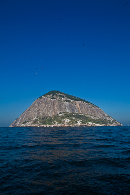Próximo a ilha Cagarras, já é possível avistar as fragatas sobrevoando o monumento natural.
