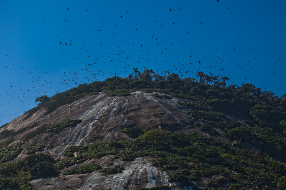 Desde 2010, o arquipélago é considerado monumento natural marinho.