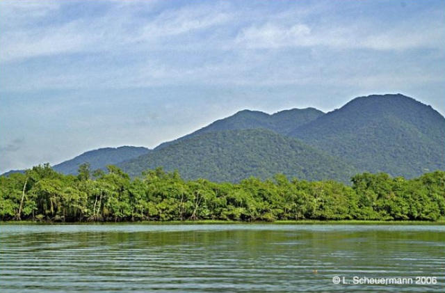 Reserva Natural Serra do Itaqui, área criada com ajuda da The Natural Conservancy. Foto: L. Scheuermann, fonte: Wikimapia