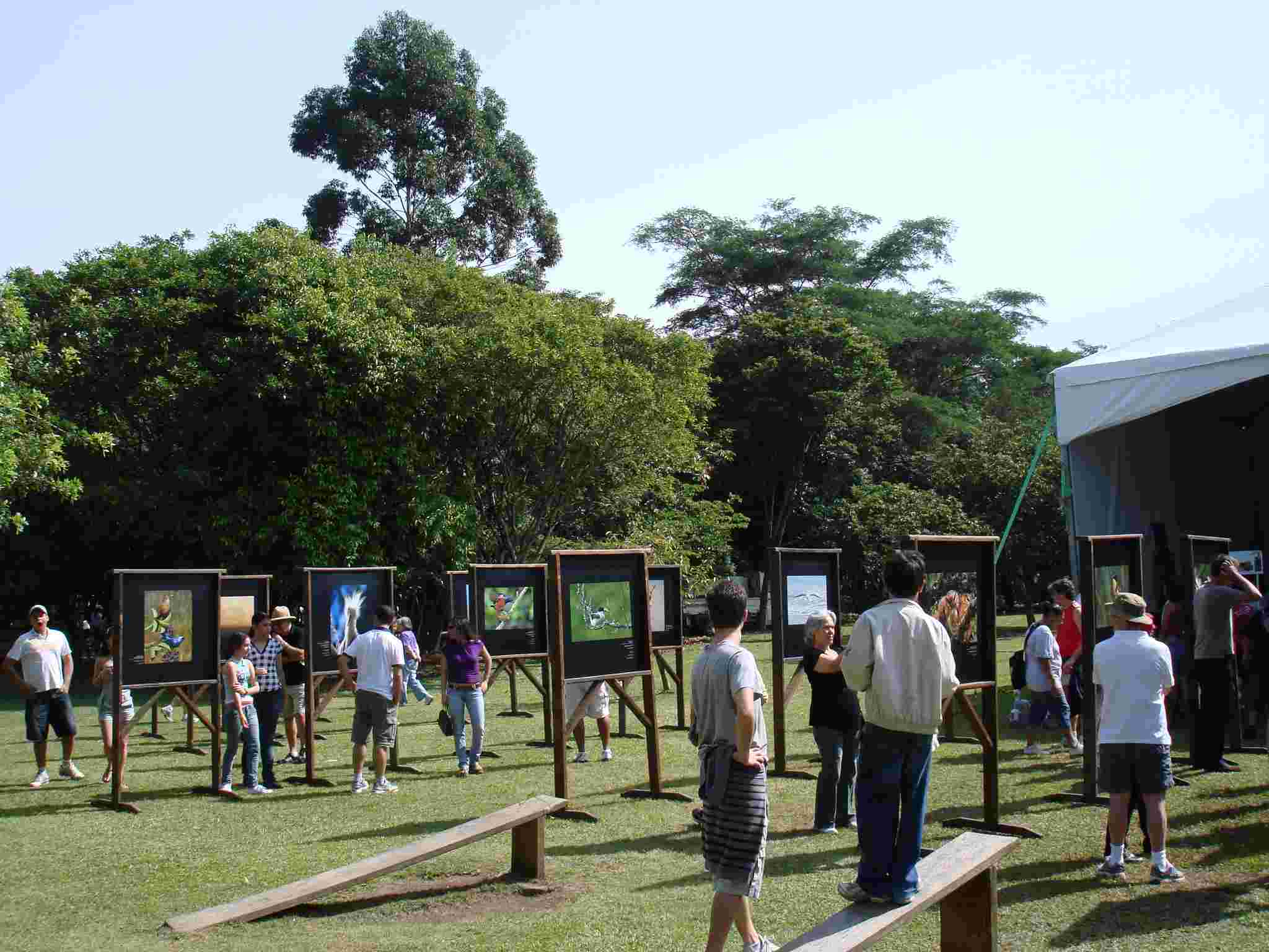 Encontro no Parque Villa Lobos reuniu veteranos e novatos da prática de observação de aves (foto: Cristiane Prizibiszcki)