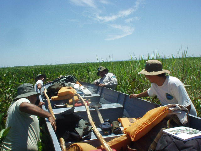 Uma mostra do difícil trabalho dos guardas-florestais no Parque Otuquis: Passando um pântano com água até o peito. (Foto: Parque Nacional Otuquis)