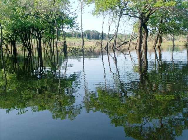 Reserva de Uatumã será destino para turismo de pesca (foto: divulgação)