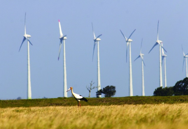 Energia eólica no Rio Grande do Sul tem capacidade de abastecer, anualmente, o consumo residencial de cerca de 750 mil pessoas. Crédito: Inês Arigoni