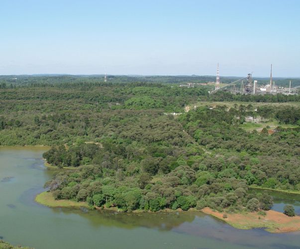 Área recuperada após a mineração em São Mateus do Sul (crédito: Divulgação Petrobrás)