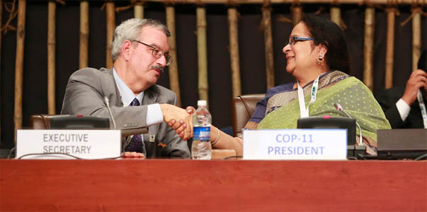 Bráulio Ferreira Dias, secretário-executivo da COP 11, cumprimenta Jayanthi Natarajan, presidente da conferência e ministra do Meio Ambiente e Florestas da Índia. Foto: Divulgação