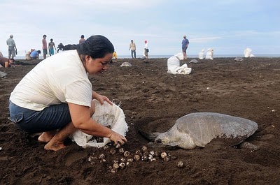 As fotos que circularam na internet e causaram polêmica (foto: crédito desconhecido)