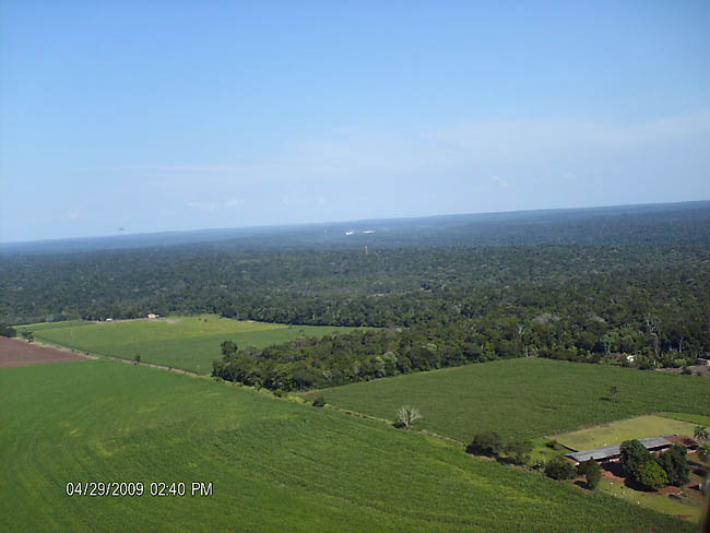 Foto da mata contínua do parque, com propriedades vizinhas, e com as cataratas aparecendo ao fundo.