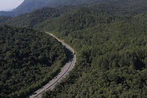 Visão aérea da BR 277. Crédito: Nani Gois