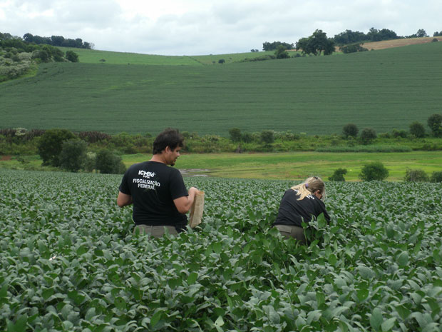 Fiscais nos campos de soja. Monitoramento será constante a partir de agora (foto: divulgação/ICMBio)