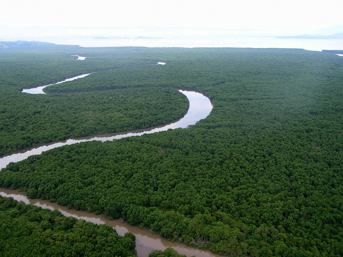 Esec da Guanabara, ao longo do Rio Guapimirim/RJ. Crédito: ICMBio