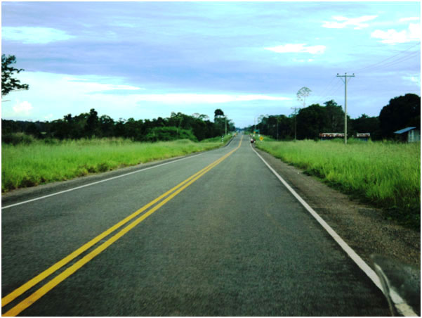 Uma estrada nova quase sem uso entre Puerto Maldonado e a fronteira brasileira.  Fotos: Marc Dourejeanni